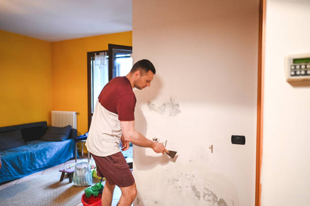 Best Mold Removal Near Me  in Wind Gap, PA